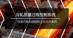 国内某头部钢铁企业